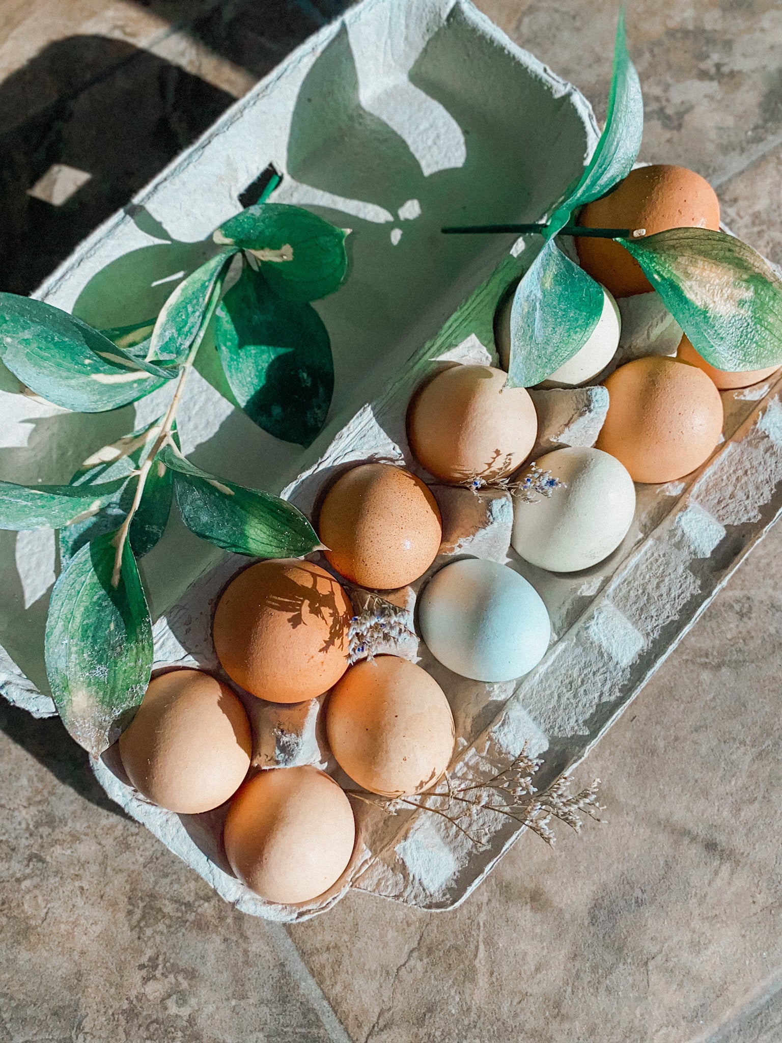 Chicken Eggs image 1