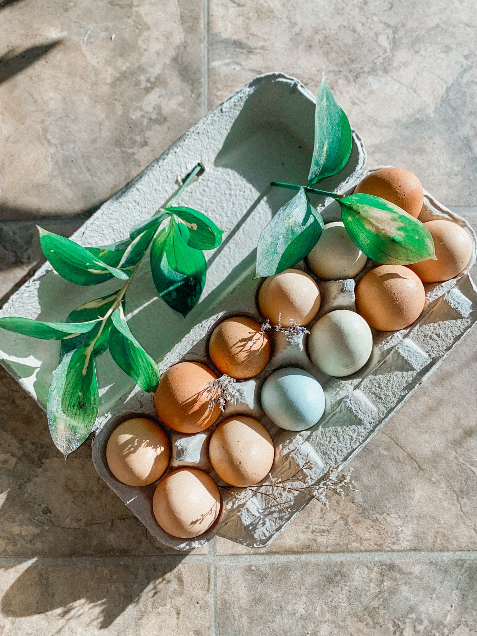Chicken Eggs image 0