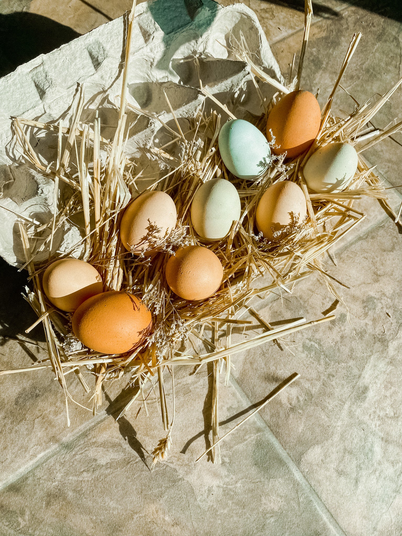 Chicken Eggs image 2